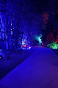 Photo 2 from Lightscape en el Jardín Botánico de San Diego