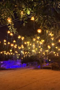 Photo 4 from Lightscape en el Jardín Botánico de San Diego