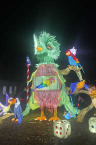 Photo 11 from Winter Lantern Festival (Williamsburg, VA)