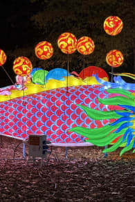 Photo 14 from Winter Lantern Festival (Williamsburg, VA)