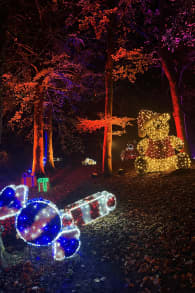 Photo 4 from Lumières en Seine : le parcours illuminé et musical des fêtes de fin d’année