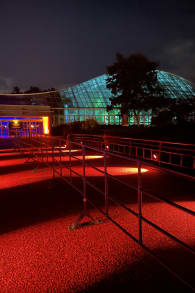 Photo 3 from 京都府立植物園：LIGHT CYCLES KYOTO (ライトサイクル京都)