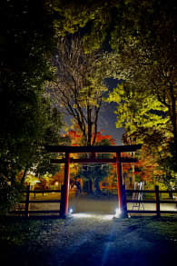 Photo 6 from 京都府立植物園：LIGHT CYCLES KYOTO (ライトサイクル京都)