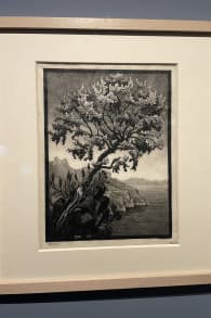 Photo 5 from M.C. Escher - Exposition