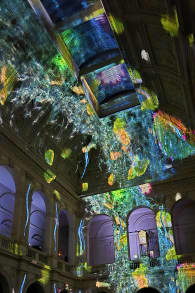 Photo 5 from Eonarium FLOW : un spectacle lumineux immersif au Palais de la Bourse