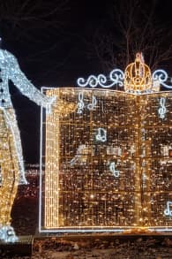 Photo 9 from Imperial Lights