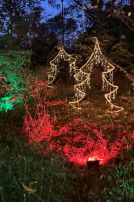 Photo 0 from Christmas in the Garden at the Fort Worth Botanic Garden
