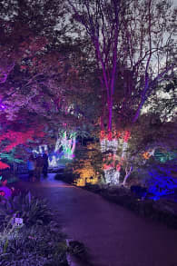 Photo 2 from Christmas in the Garden at the Fort Worth Botanic Garden