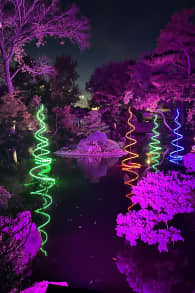 Photo 3 from Christmas in the Garden at the Fort Worth Botanic Garden