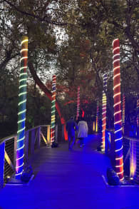 Photo 5 from Christmas in the Garden at the Fort Worth Botanic Garden