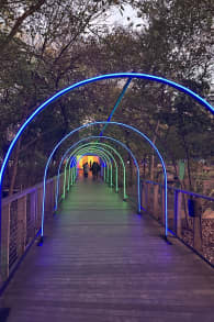 Photo 6 from Christmas in the Garden at the Fort Worth Botanic Garden