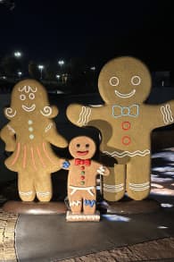 Photo 7 from Christmas in the Garden at the Fort Worth Botanic Garden