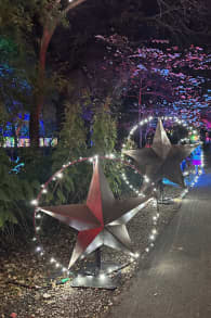 Photo 8 from Christmas in the Garden at the Fort Worth Botanic Garden