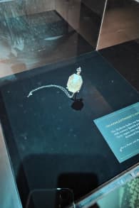 Photo 6 from Harry Potter™: The Exhibition