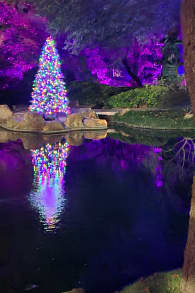 Photo 10 from Christmas in the Garden at the Fort Worth Botanic Garden