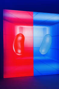 Photo 16 from TOI : Le test de personnalité immersif