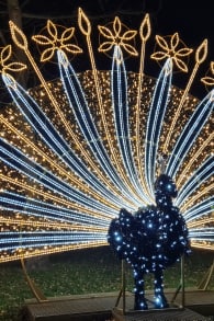 Photo 11 from Imperial Lights