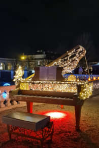 Photo 12 from Imperial Lights