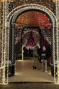 Photo 14 from Imperial Lights