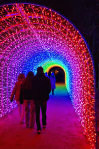 Photo 6 from Lumières en Seine : le parcours illuminé et musical des fêtes de fin d’année