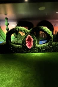 Photo 0 from Museum of Sex - Miami