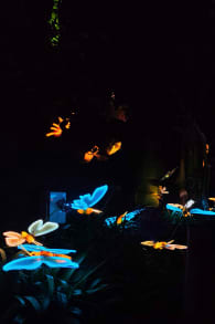 Photo 3 from Festival Brilla Sueños