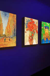 Photo 14 from VINCENT - Zwischen Wahn und Wunder