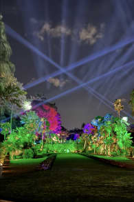 Photo 0 from NightGarden - Miami