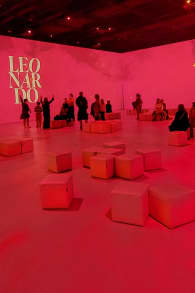 Photo 10 from LEONARDO VERSUS MICHELANGELO