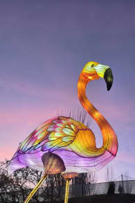 Photo 0 from Brilla Zoo Festival