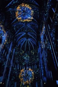 Photo 10 from Genesis, l'histoire de la Création en un spectacle lumineux et immersif à Toulouse