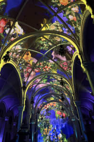 Photo 0 from AURA: Une expérience immersive plus grande que nature