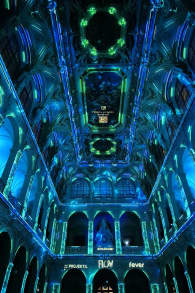 Photo 0 from Eonarium FLOW : un spectacle lumineux immersif au Palais de la Bourse