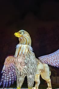 Photo 1 from Brilla Zoo Festival