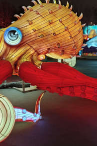 Photo 3 from Brilla Zoo Festival