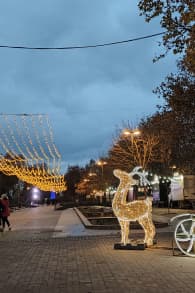 Photo 4 from Brilla Zoo Festival