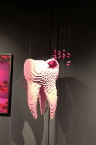 Photo 0 from The Art of the Brick : Exposition d'art en LEGO®