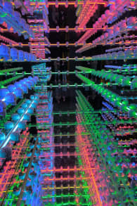 Photo 2 from The Art of the Brick : Exposition d'art en LEGO®