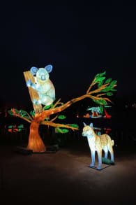 Photo 6 from Brilla Zoo Festival