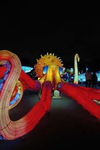 Photo 5 from Brilla Zoo Festival