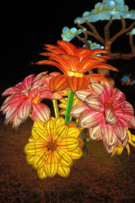 Photo 7 from Brilla Zoo Festival