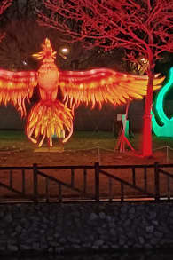 Photo 9 from Brilla Zoo Festival