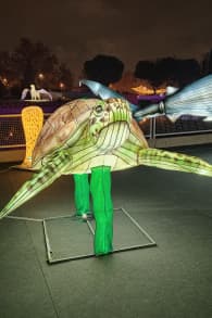 Photo 10 from Brilla Zoo Festival