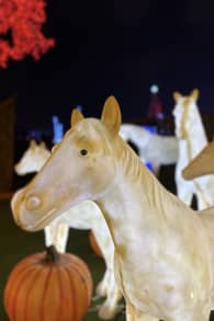 Photo 0 from Festilumi - 香港