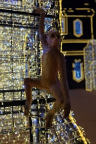 Photo 1 from Festilumi - 香港