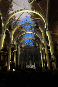 Photo 3 from AURA: Une expérience immersive plus grande que nature