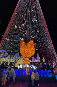 Photo 7 from Festilumi - 香港