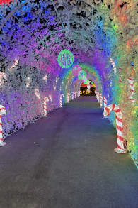 Photo 8 from Festilumi - 香港