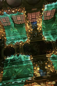 Photo 3 from Eonarium FLOW : un spectacle lumineux immersif au Palais de la Bourse