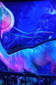 Photo 8 from Avatar: The Experience